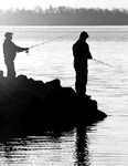 Fishing in Georgia